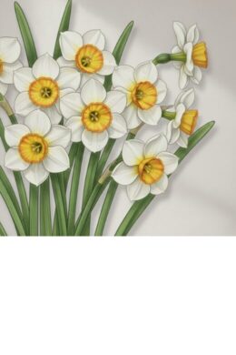 2026年1月のプレイリスト